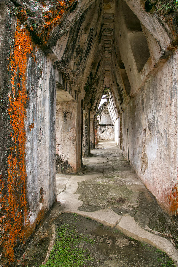 Vaulted Hallway at Palenque Ruin Photograph by Jurgen Lorenzen