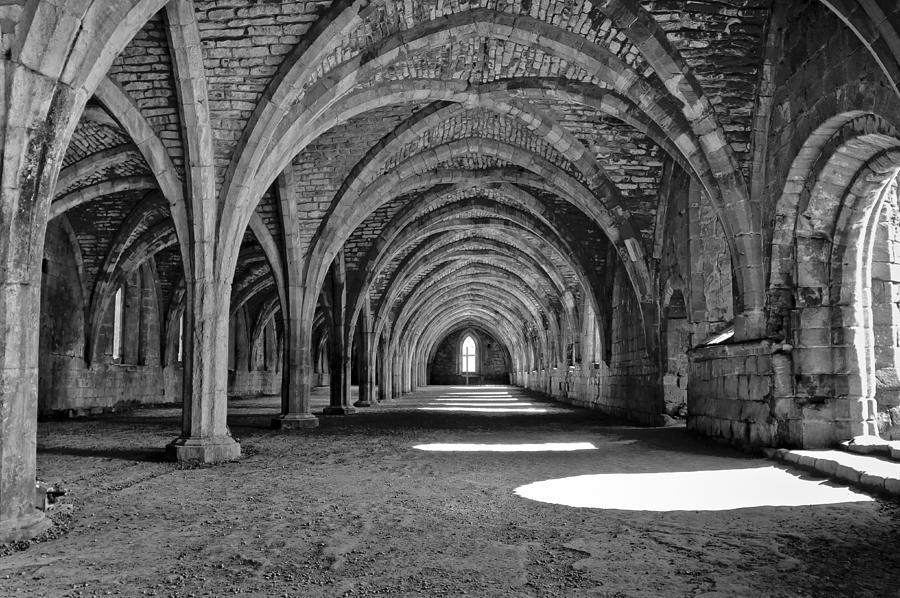 Vaults. Photograph by Elena Perelman
