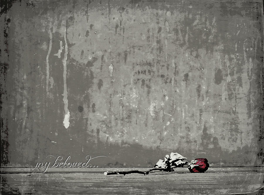 Rose Photograph - VD My Beloved by Dark Whimsy