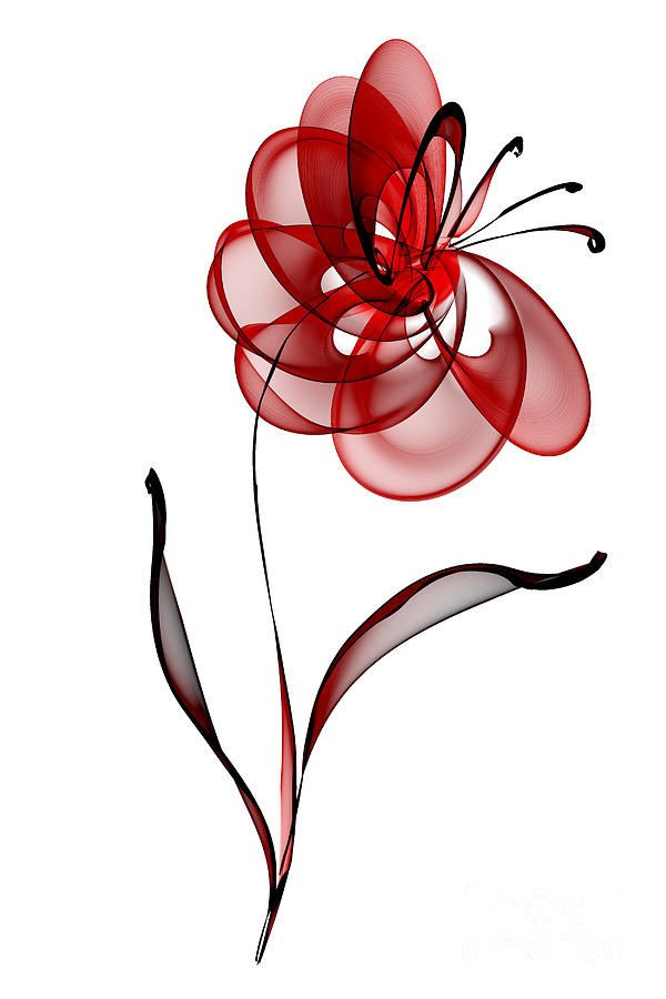 Vector Flower Digital Art by Ann Garrett
