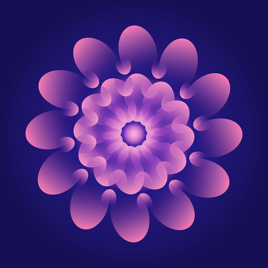 Magic Digital Art - Vector Flower by Danny Pachman