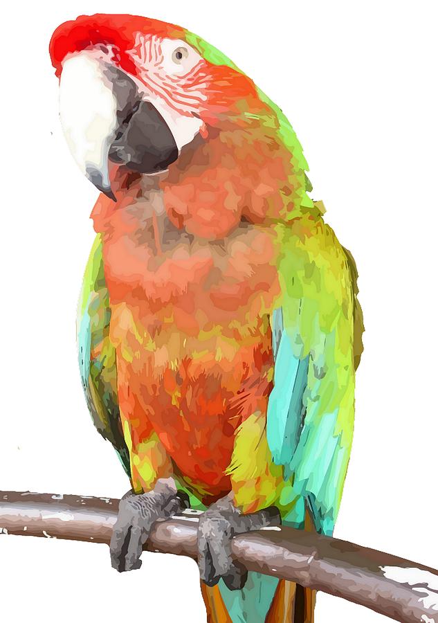 Vector Style Harlequin Macaw On A Perch Photograph by Taiche Acrylic Art
