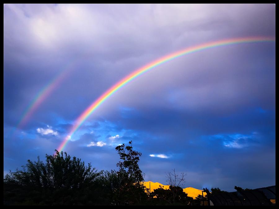 Vegas Rainbow Photograph by Karen Dzielsky