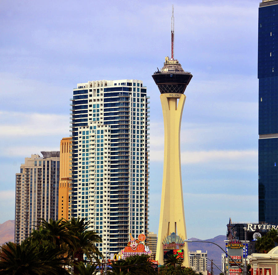 Vegas tall Photograph by David Lee Thompson