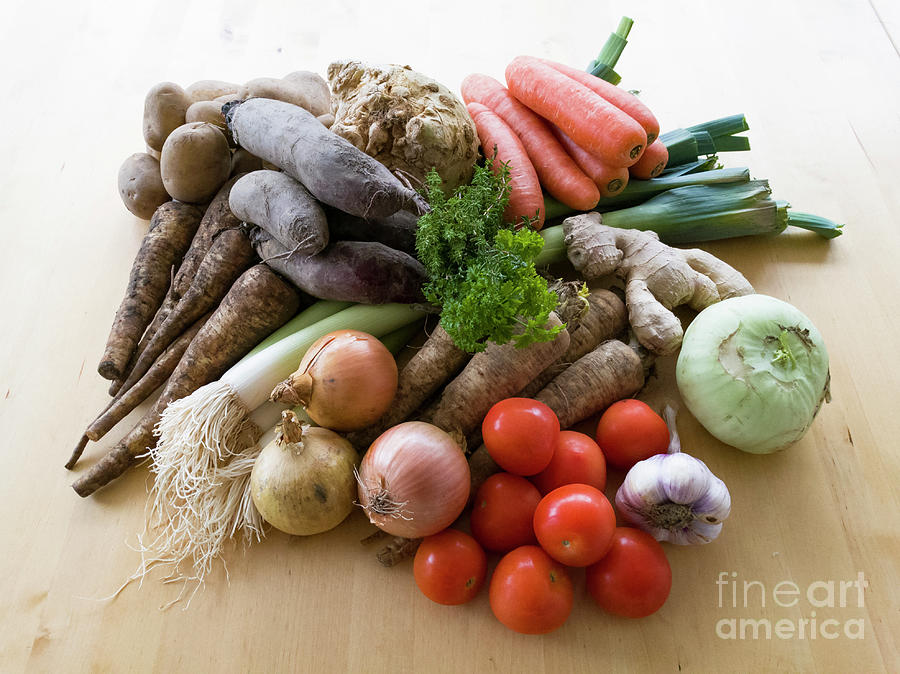 Vegetable Soup Base Ingredients Photograph