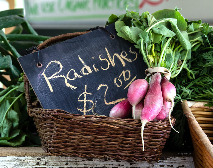 Vegetable Photograph - Vegetables Radishes by Betty Denise