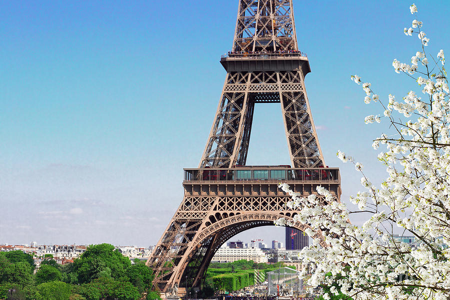 Eiffel Tower and Spring Photograph by Anastasy Yarmolovich