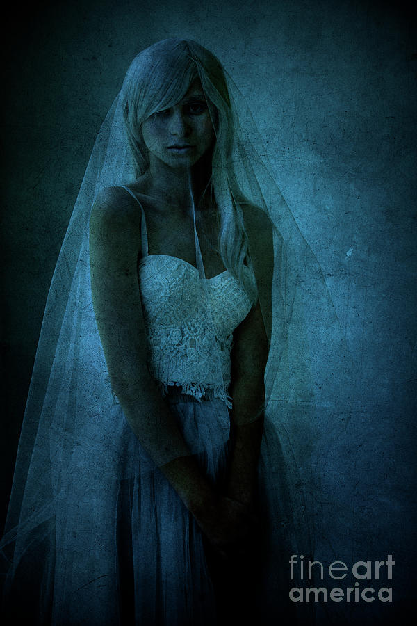 Veiled Lady Photograph