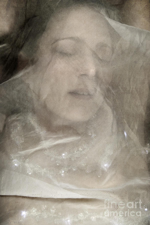 Veiled princess Photograph by Clayton Bastiani