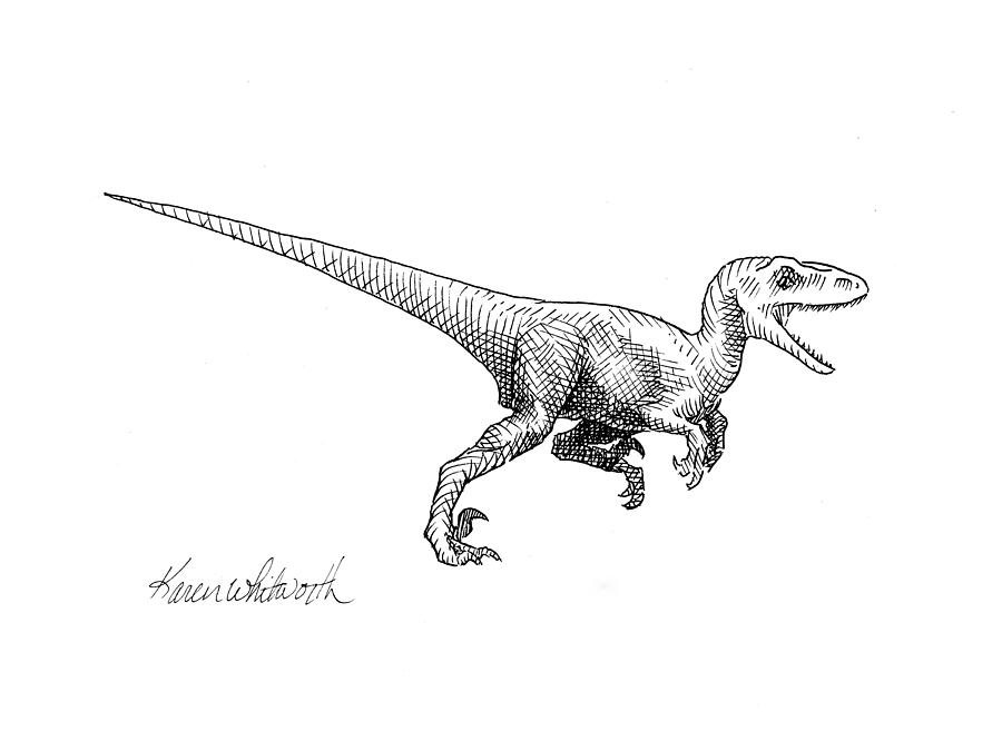 Dinosaur Drawing - Velociraptor - Jurassic Dinosaur Science Illustration Black and White Contemporary Art Ink Drawing by K Whitworth