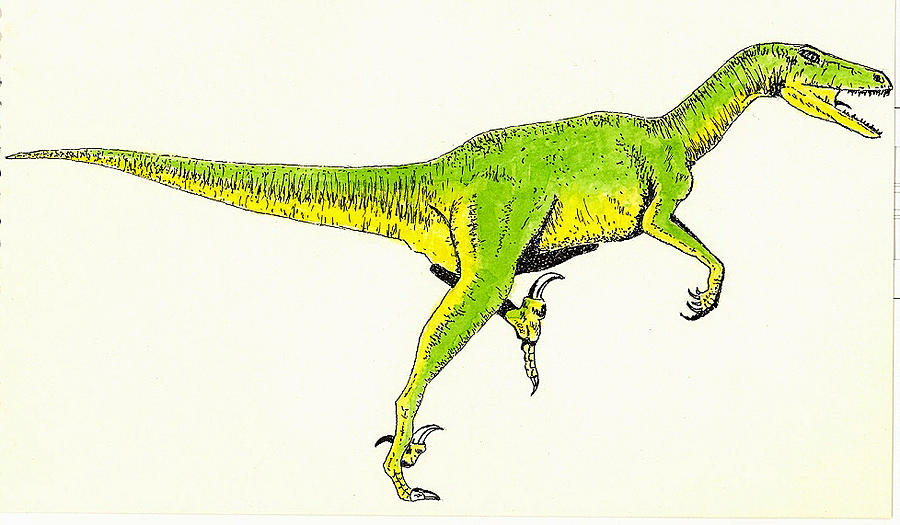 Prehistoric Painting - Velociraptor by Michael Vigliotti