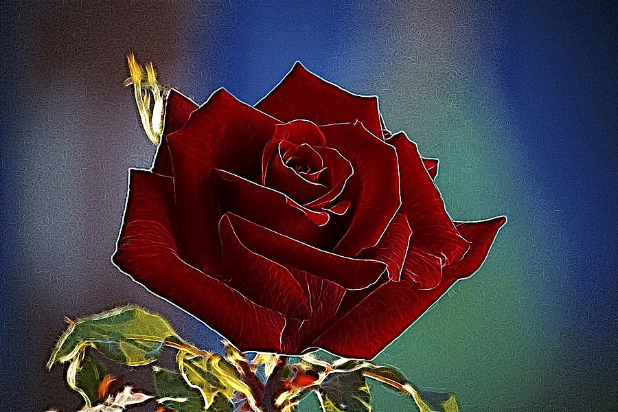 Rose Photograph - Velvet Rose by Alexey Bazhan