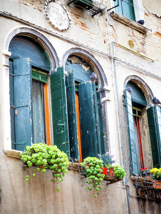 Venetian Blue Windows Photograph by Debbie Karnes