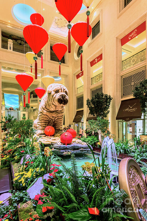Las Vegas Photograph - Venetian Chinese New Year of the Dog Display by Aloha Art
