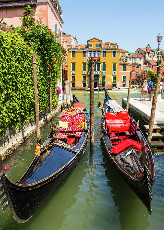 Venetian Gondolas, Venice, Italy Photograph by Venetia Featherstone-Witty