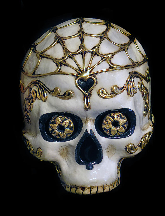 Venetian Skull Mask Photograph by Dave Mills