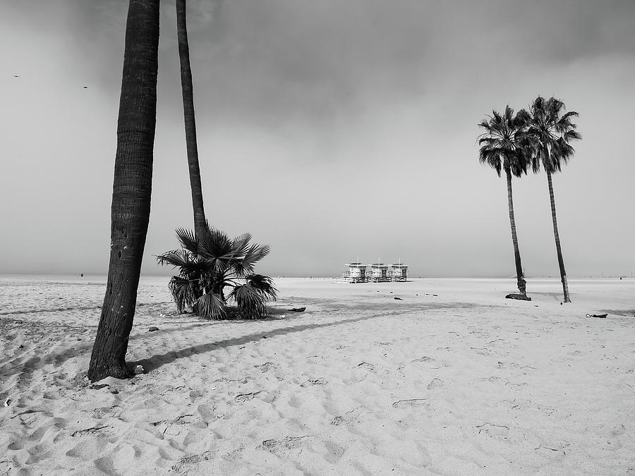 Venice beach Photograph by Alberto Zanoni