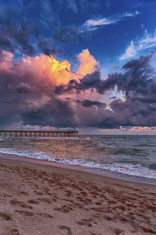 Venice Beach Pier 2 Photograph by Sue Zeigler | Fine Art America