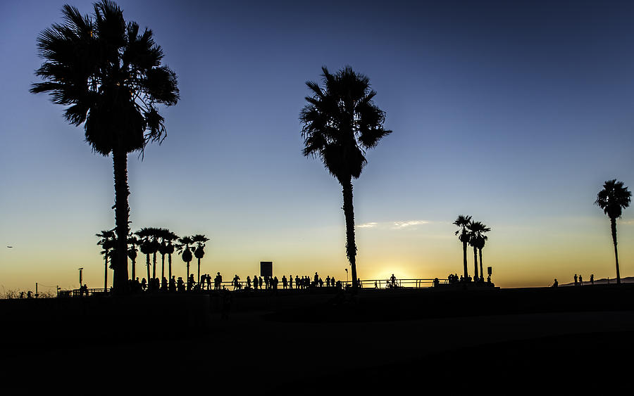 Venice Beach Skatepark Photograph by Chris Cousins