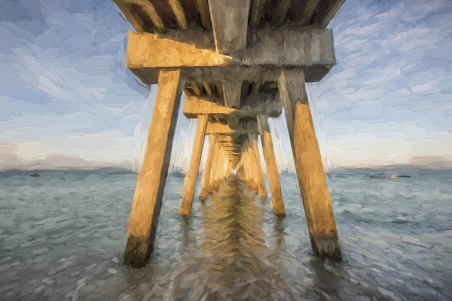 Fish Digital Art - Venice Below the Pier II by Jon Glaser