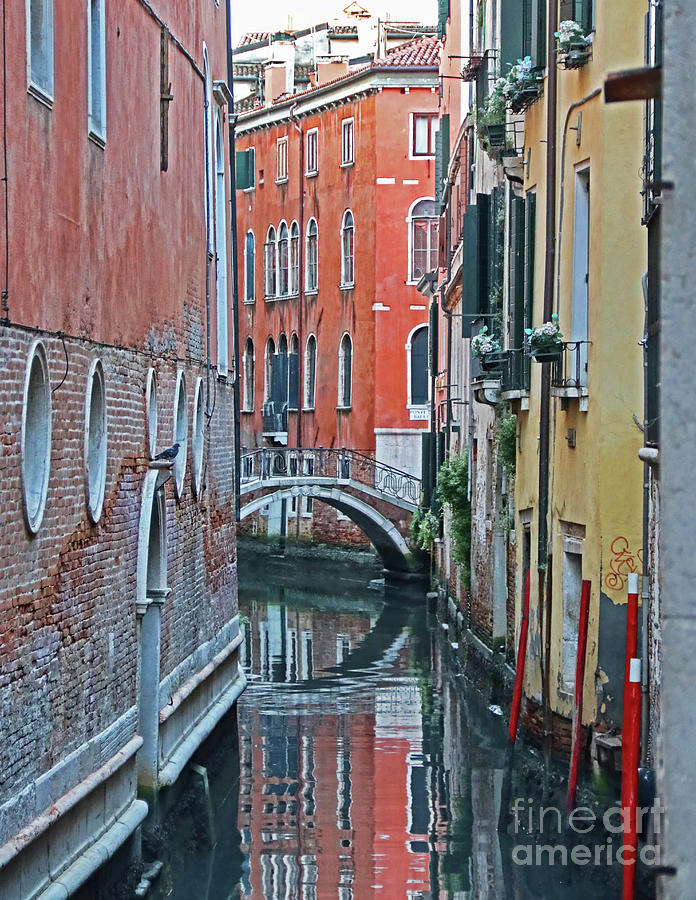 Venice Canal 9148 Photograph by Jack Schultz