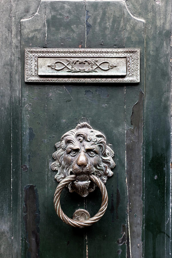 Venice Door Photograph by Georgia Fowler