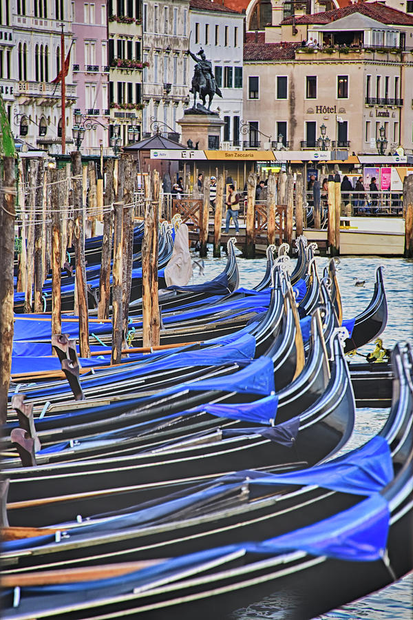 Venice Gondolas in Grand Canal Photograph by Roberta Kayne