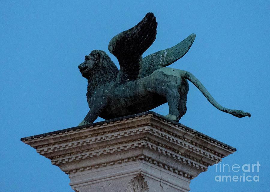 Venice Lion Statue Photograph by Carol Bilodeau - Fine Art America