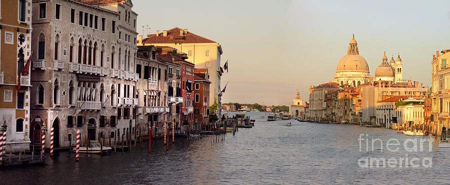 Venice Lover Photograph by Elaine Berger