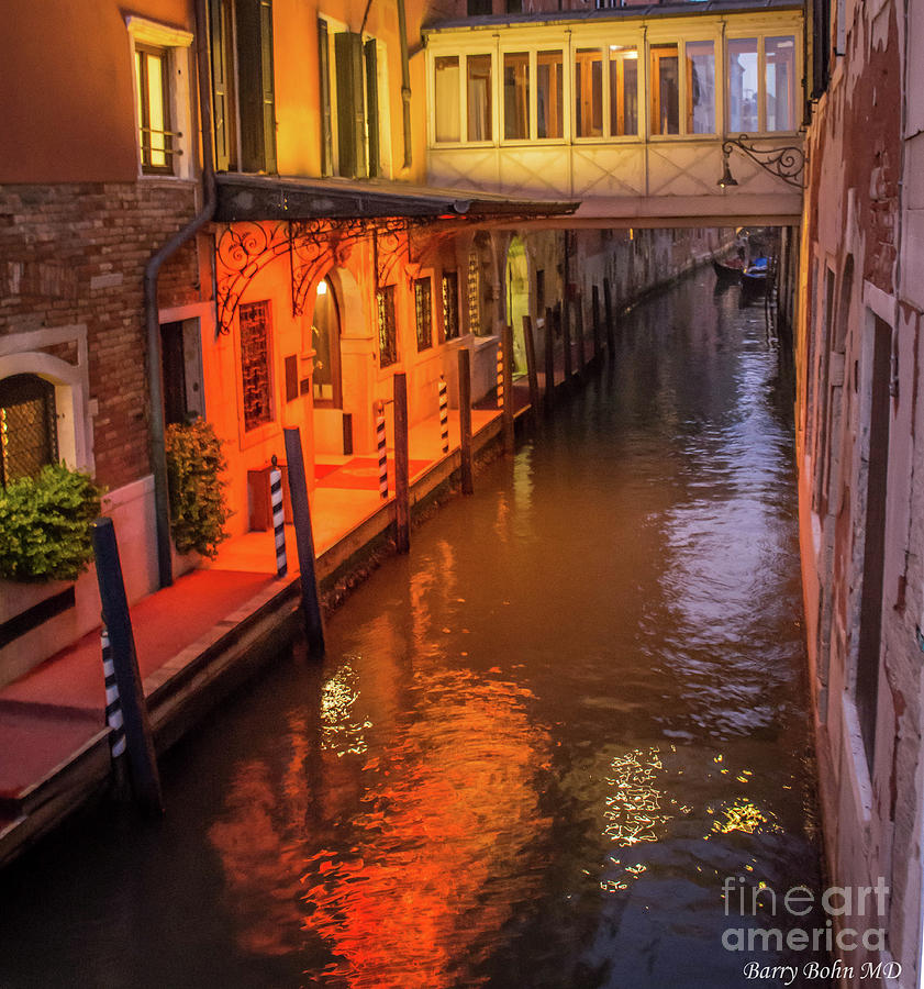 Venice Reflection Photograph by Barry Bohn