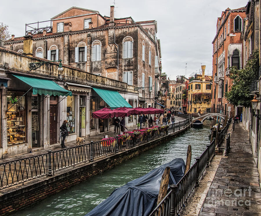 Venice Streets Photograph by Shirley Mangini
