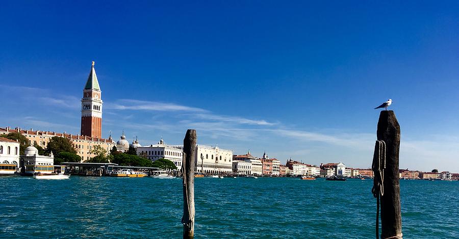 Venice view from Dorsoduro Photograph by Marina Usmanskaya