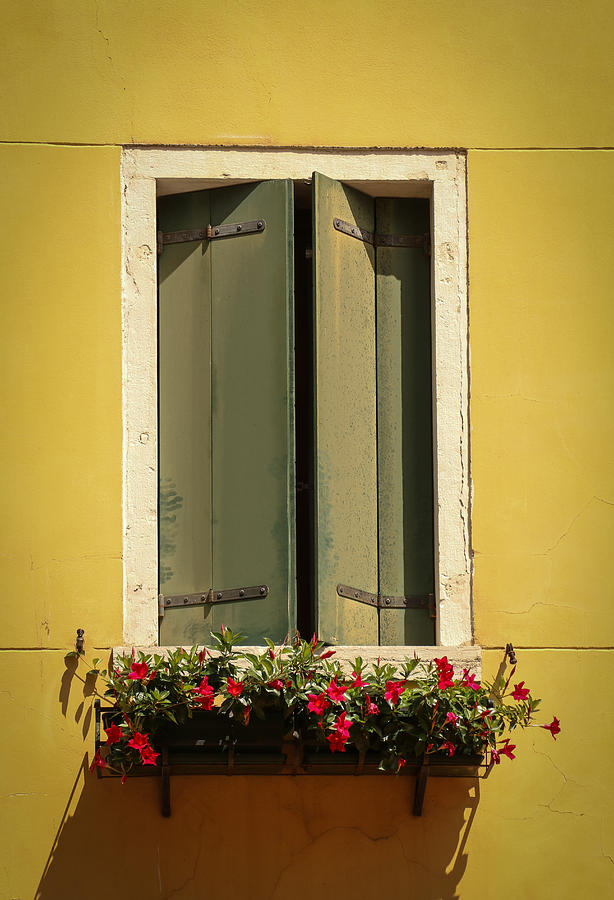 Venice Window in Green Photograph by Kathleen Scanlan