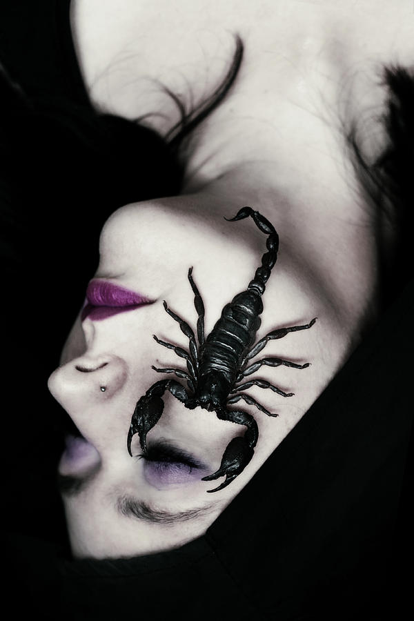 Scorpion Photograph - Venomous by Cambion Art Scorpion Photograph - Venomous by Cambion Art