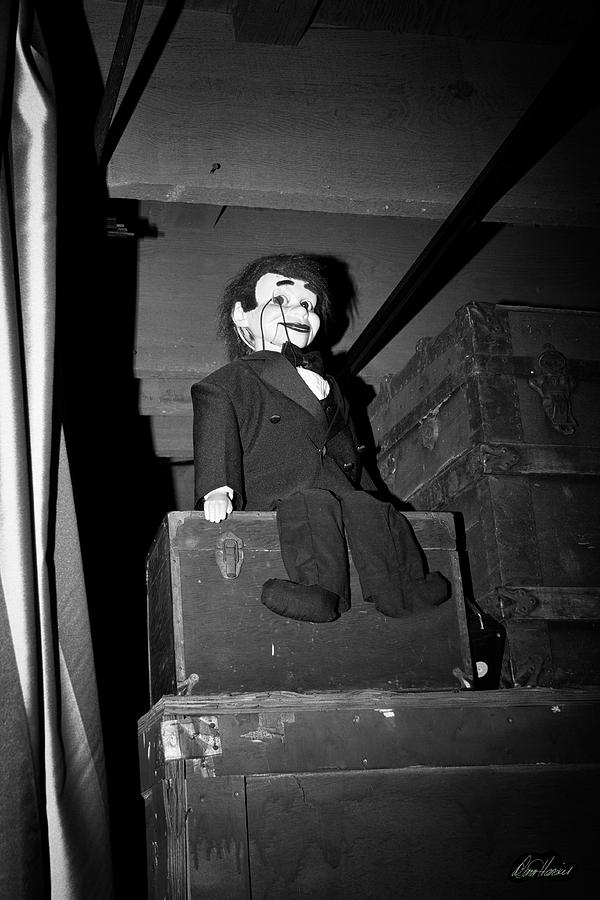 Ventriloquist Dummy Photograph by Diana Haronis
