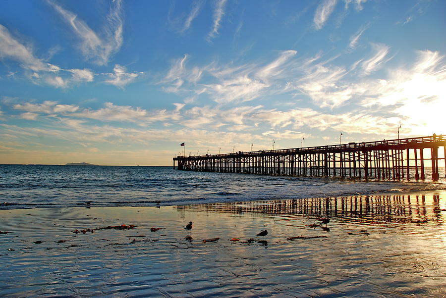 Ventura Pier At Sunset by Liz Vernand - Royalty Free and Rights Managed  Licenses