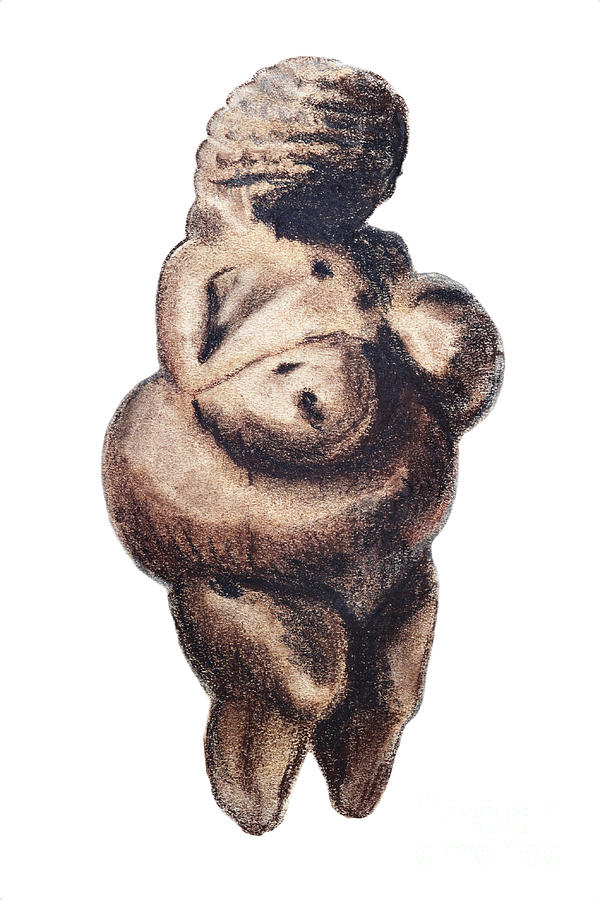 Prehistoric Drawing - Venus - fertility symbol by Michal Boubin