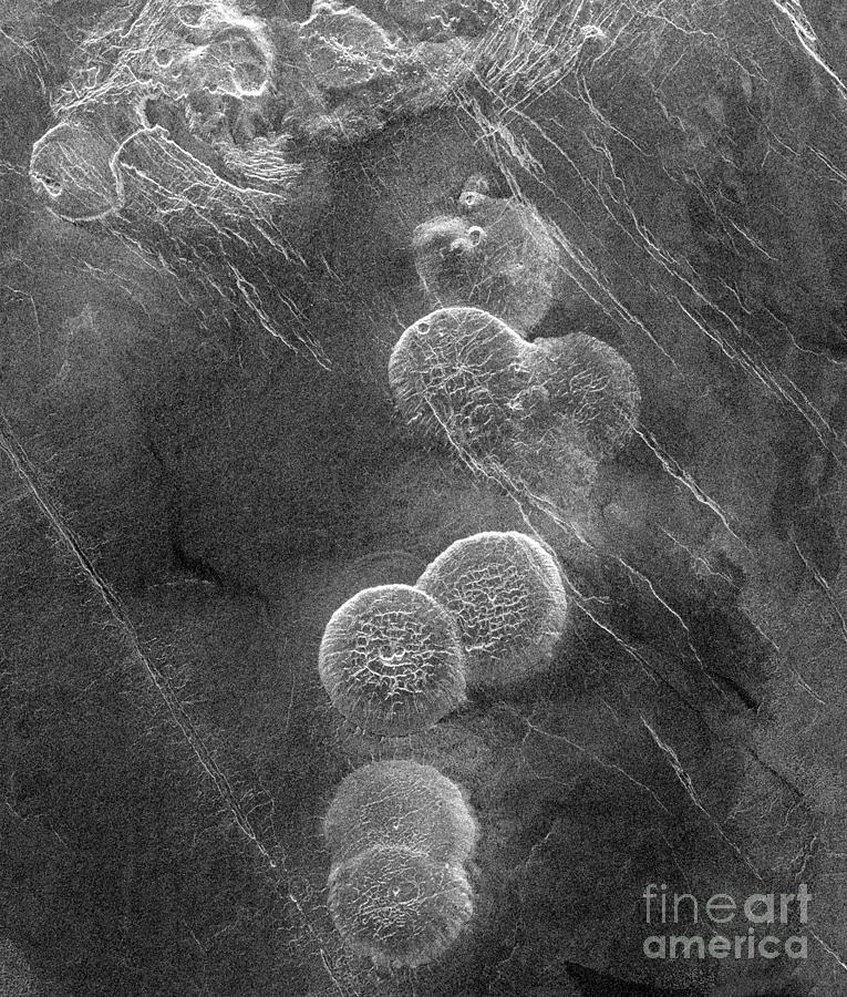 Venus, Alpha Regio Photograph by Science Source