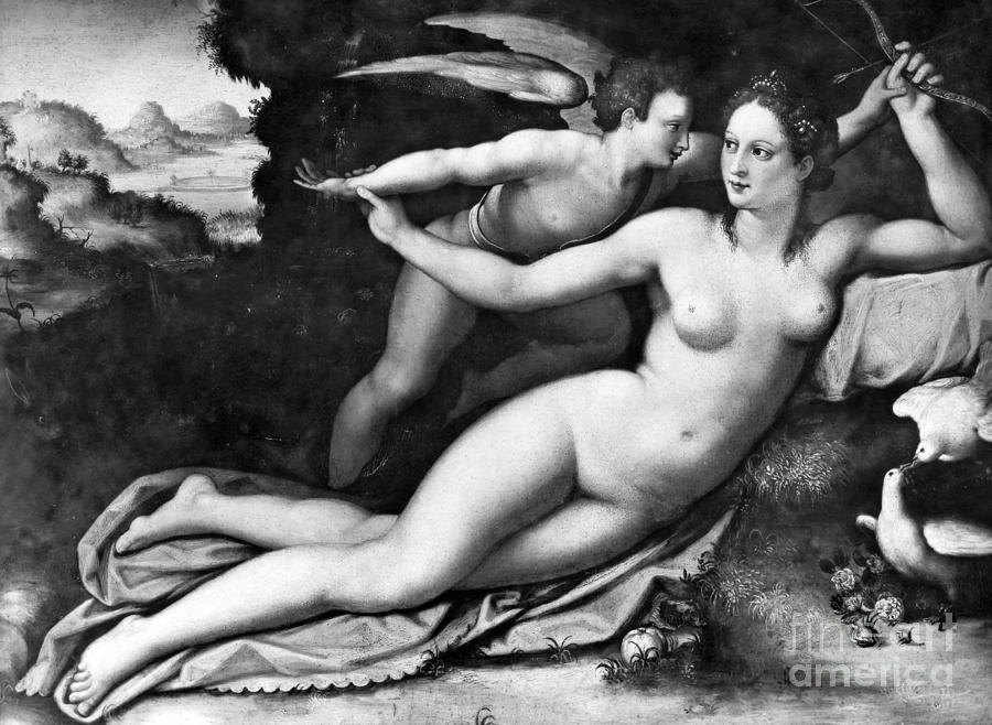 Dove Photograph - Venus And Cupid by Granger