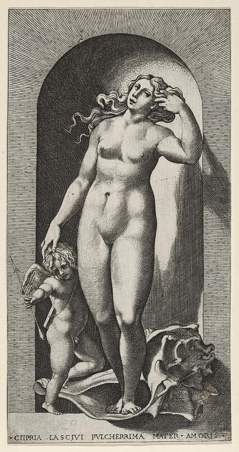Greek Mythology Drawing - Venus in a niche by Giovanni Jacopo Caraglio
