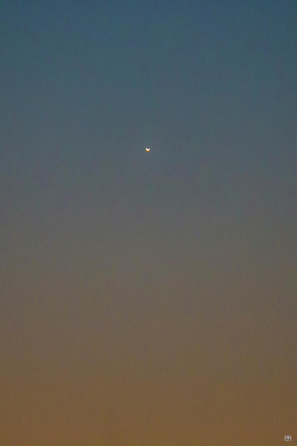 Venus in Twilight Photograph by John Meader