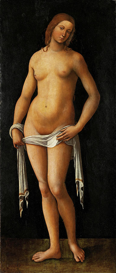 Lorenzo Costa Painting - Venus  by Lorenzo Costa