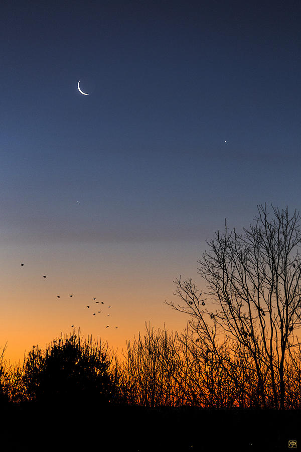 Venus, Mercury and the Moon Photograph by John Meader