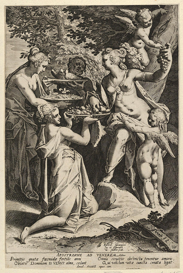 Fruit Drawing - Venus Receiving Gifts by Aegidius Sadeler