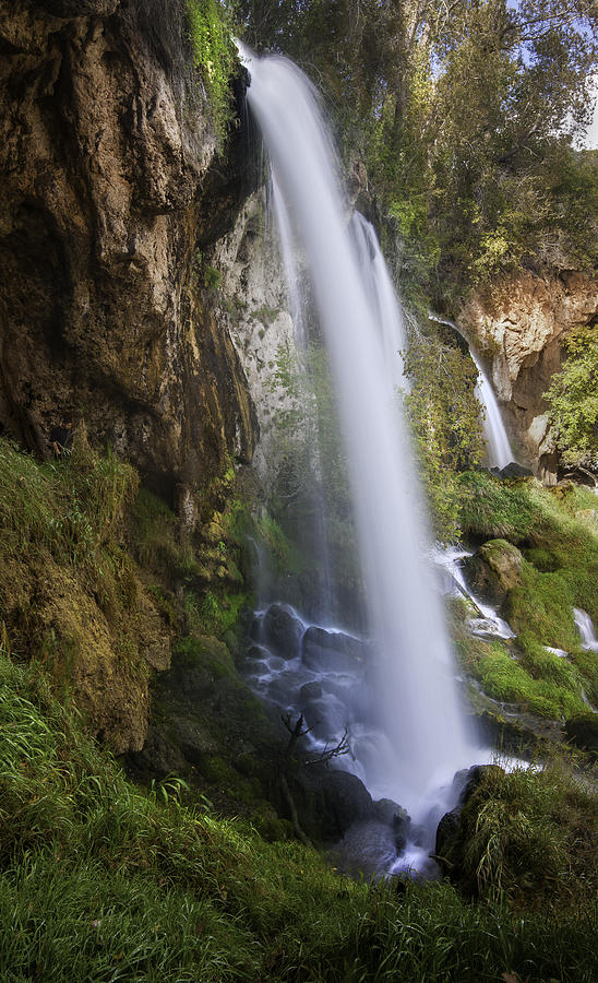 Waterfall Photograph - Verdant Falls of Colorado  by TS Photo