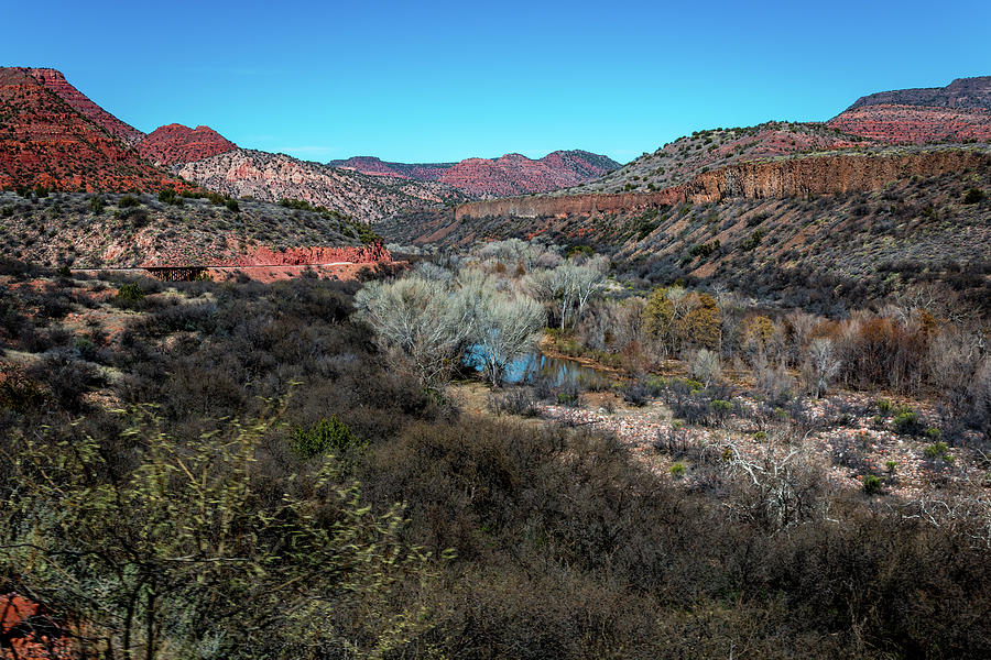 Verde Canyon oasis Photograph by Susie Weaver