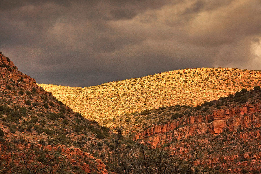 Verde Canyon View Txt Photograph by Theo OConnor