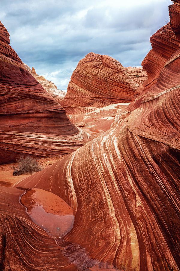 Vermilion Cliffs below the Wave Photograph by Alex Mironyuk