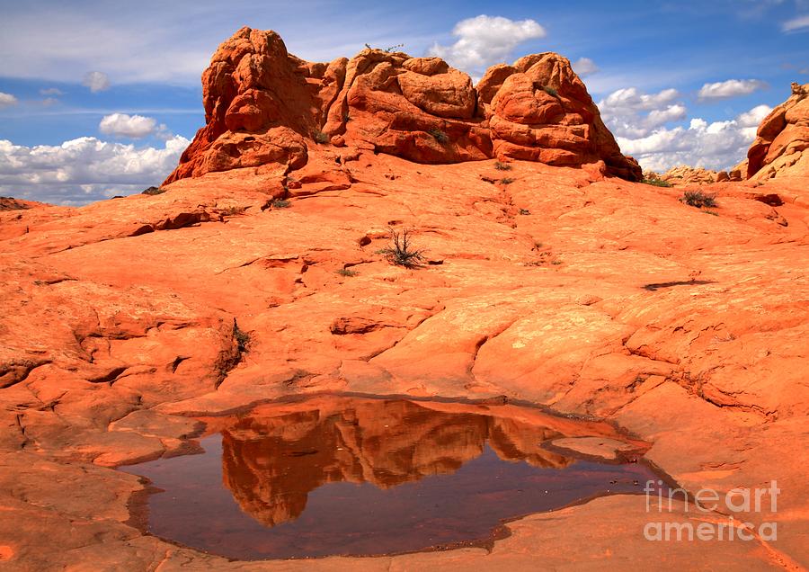 Vermilion Cliffs Reflections Photograph by Adam Jewell
