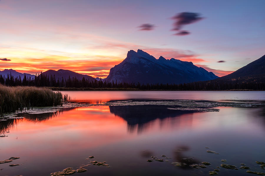 Vermilion lakes Sunrise Photograph by Pierre Leclerc Photography